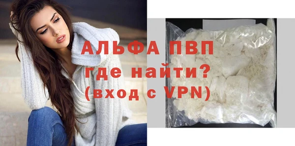 шишки Бородино