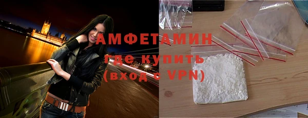 шишки Бородино