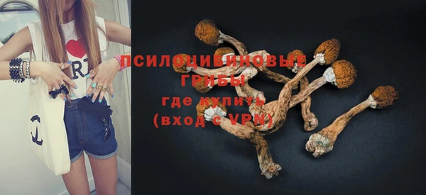 амф Бронницы