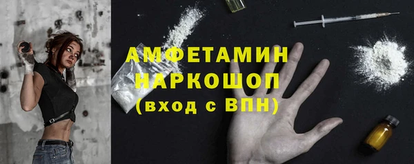 шишки Бородино