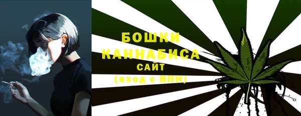 шишки Бородино