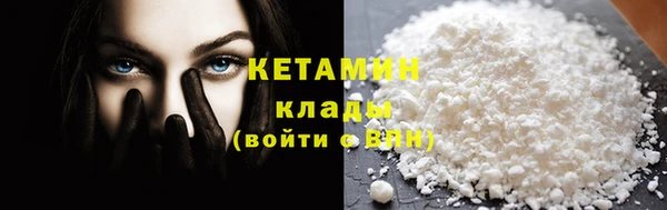 шишки Бородино