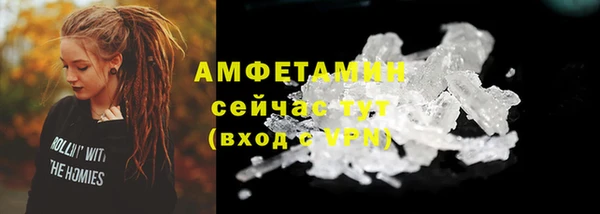 шишки Бородино