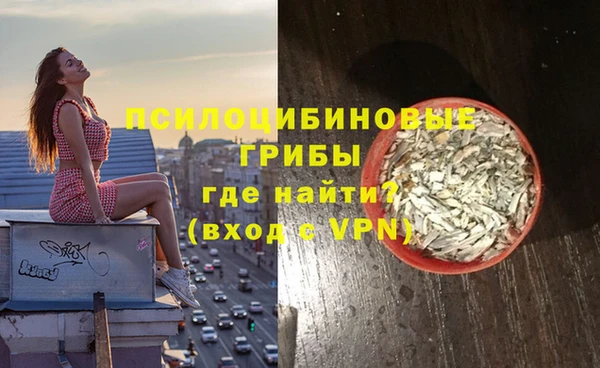 шишки Бородино