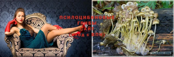 шишки Бородино