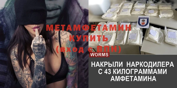 шишки Бородино