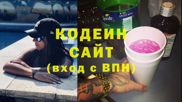 шишки Бородино