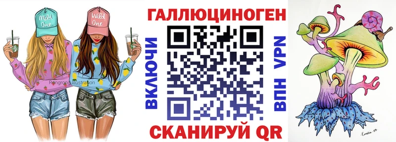 наркошоп  Далматово  ссылка на мегу рабочий сайт  Псилоцибиновые грибы GOLDEN TEACHER 