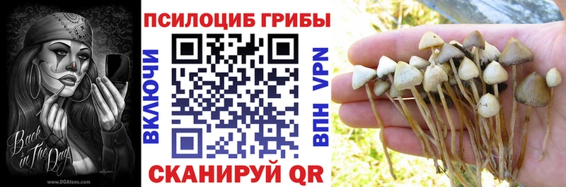 Галлюциногенные грибы GOLDEN TEACHER Далматово