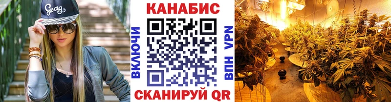 мега сайт  Далматово  Канабис ГИДРОПОН 
